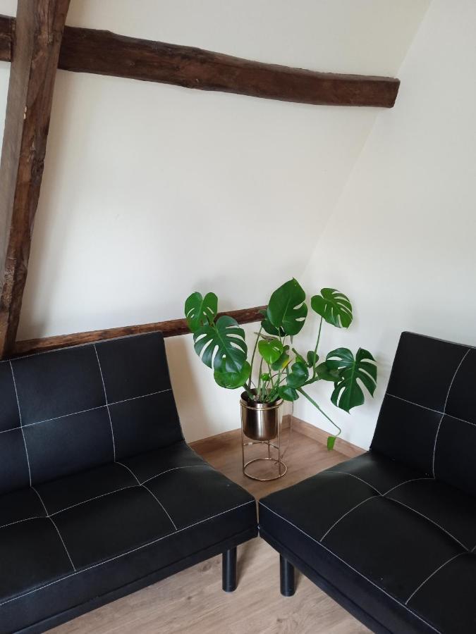 Albergue De Peregrinos Compostela Молінасека Екстер'єр фото
